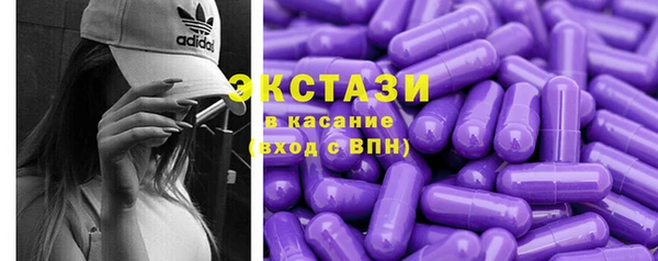 прущие грибы Новозыбков
