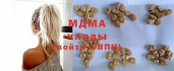 ПСИЛОЦИБИНОВЫЕ ГРИБЫ Дмитриев