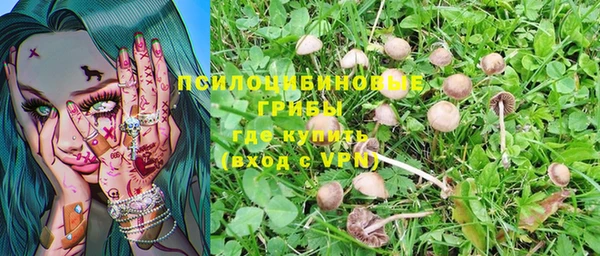 трава Осинники