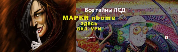 ПСИЛОЦИБИНОВЫЕ ГРИБЫ Дмитриев